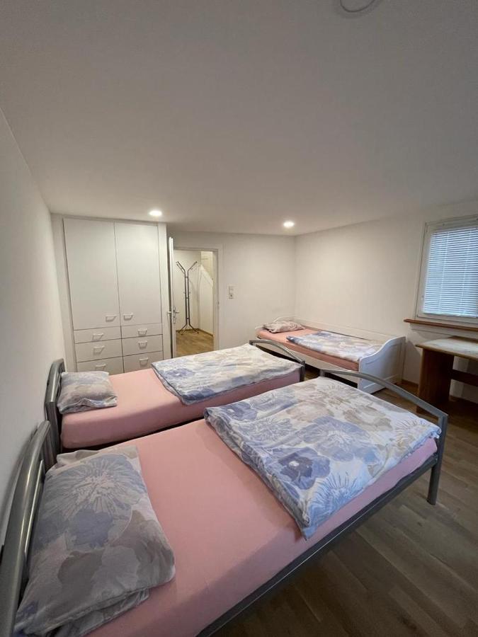 Apartment Viktoria ออฟเฟนบูร์ก ภายนอก รูปภาพ